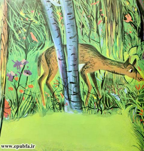 او آهو و روباه و سنجاب و خرس را دید؛ و این جانوران همگی به او گفتند که جهان آنها در این جنگل، جهان بسیار زیبایی است.